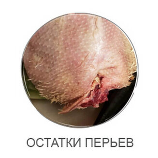 Пинцет рыбный